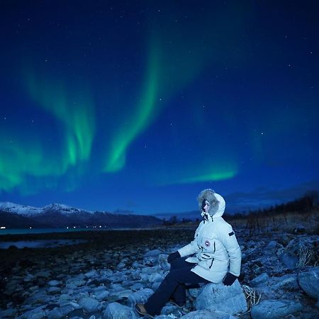 Arctic Rooms Rektor Тромсё Экстерьер фото