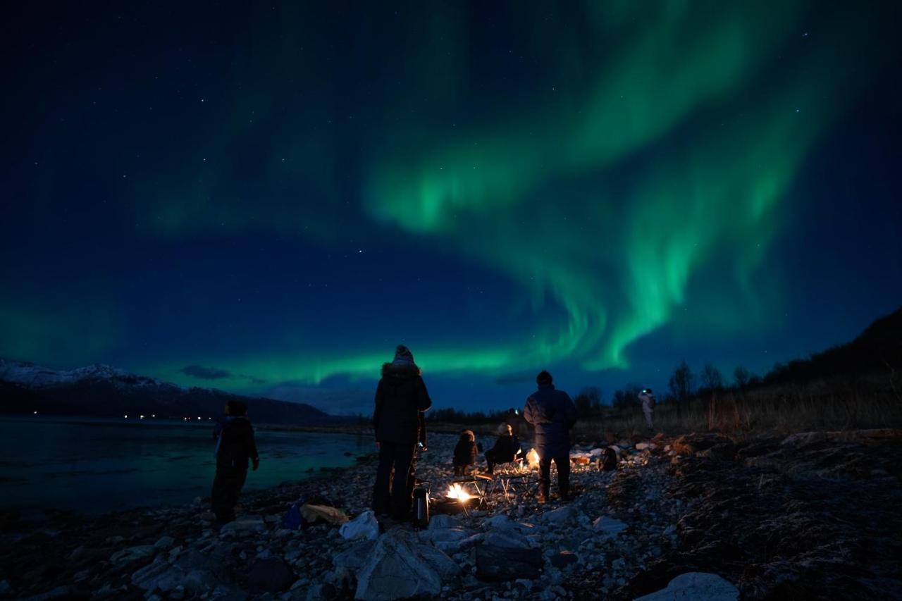 Arctic Rooms Rektor Тромсё Экстерьер фото