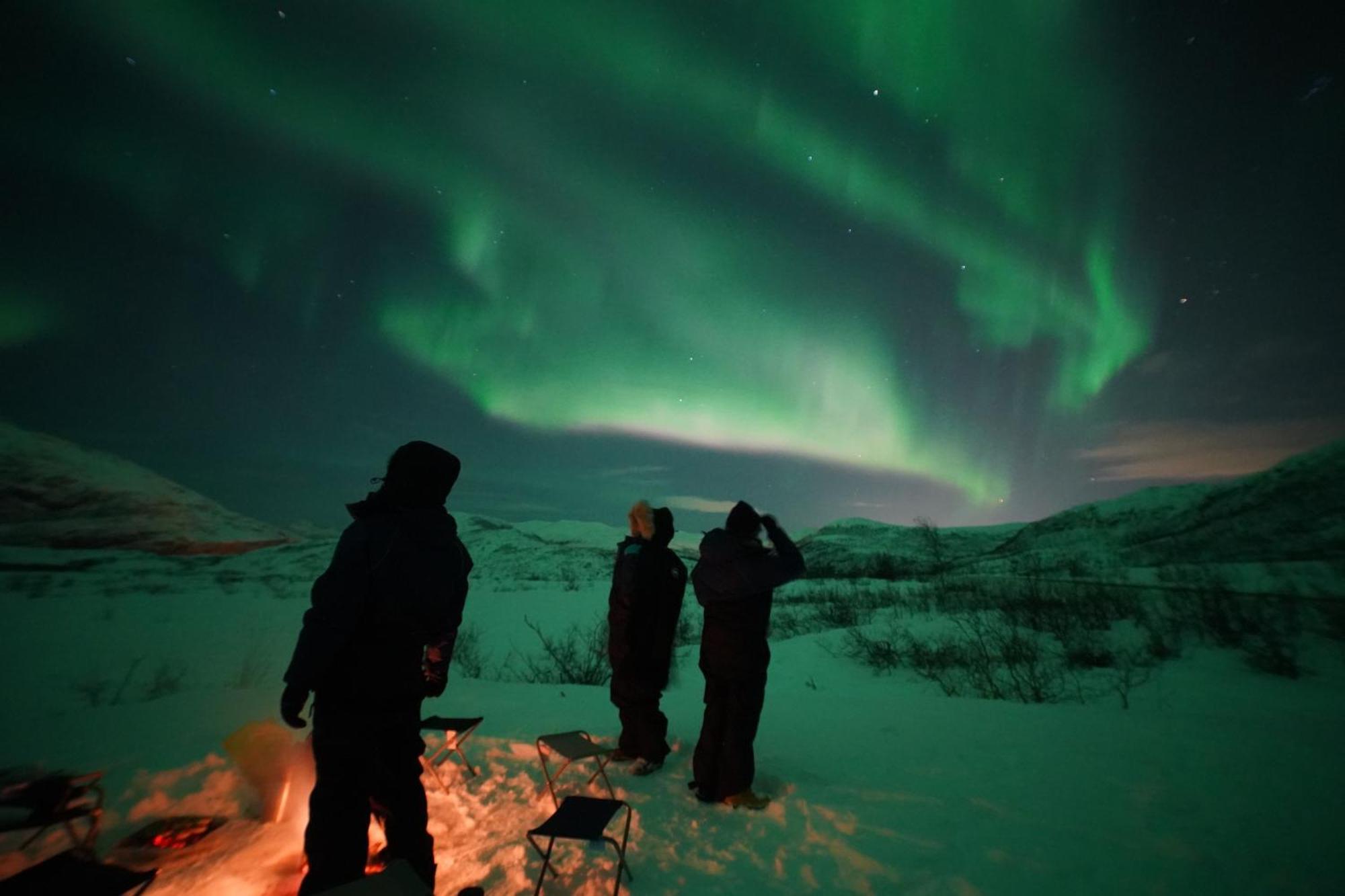Arctic Rooms Rektor Тромсё Экстерьер фото